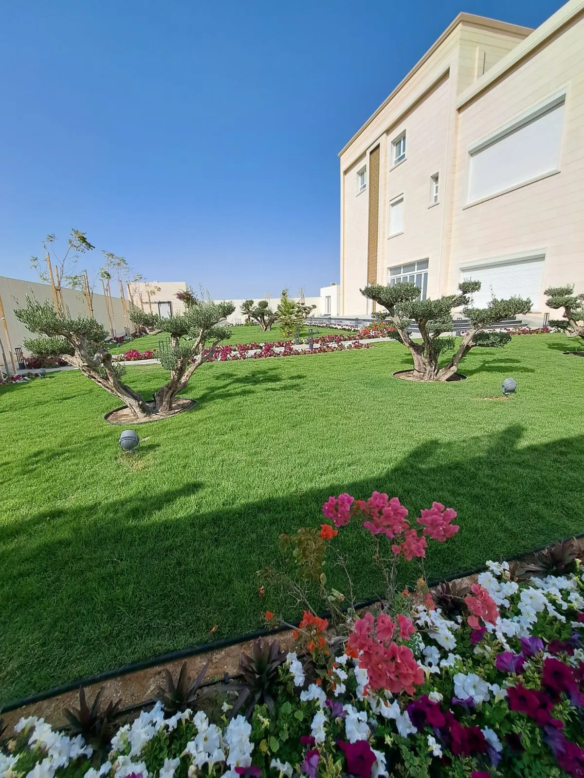 Irrigation Systems project